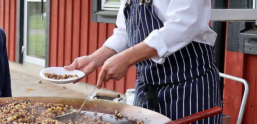 En stekhäll med pyttipanna