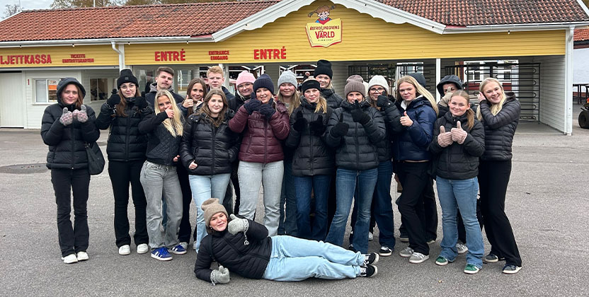 Elever från Holavedsgymnasiet på Astrid Lindgrens Värld