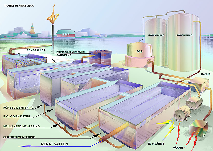 Illustration av processen vid Tranås reningsverk.