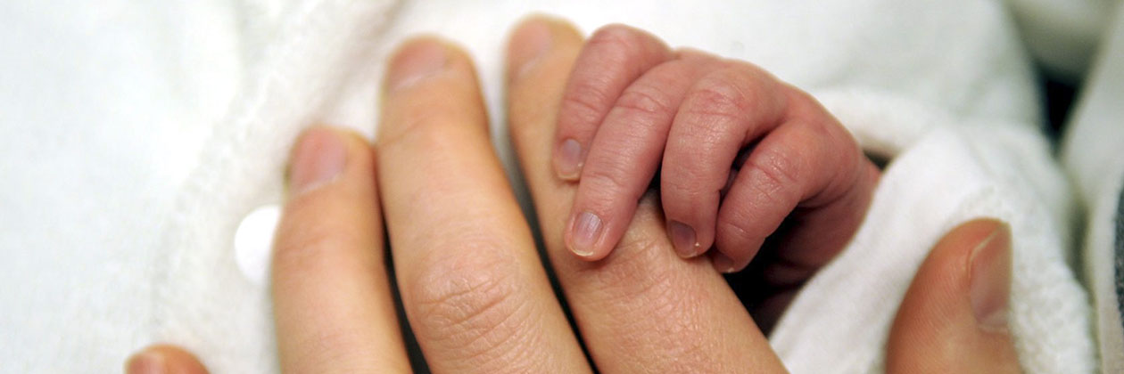 En bebishand som håller i en vuxens hand.