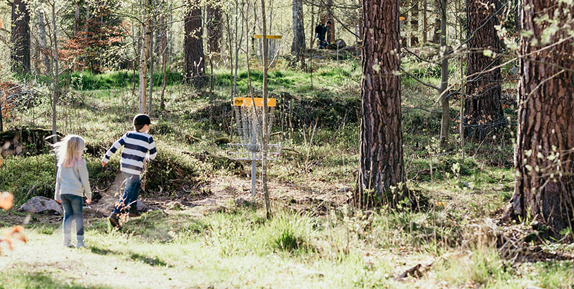 Barn som spelar frisbeegolf i parken.